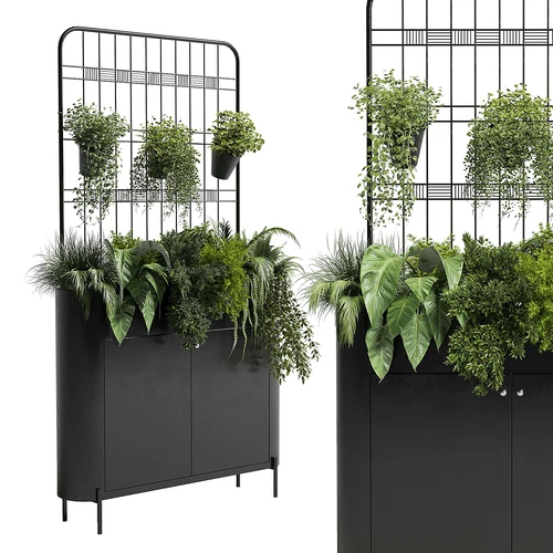 植物架