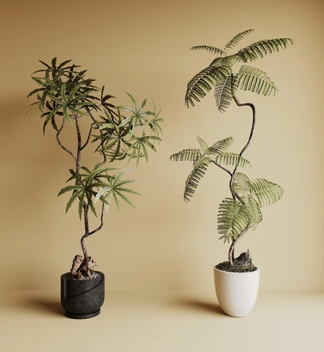 中古风绿植盆栽