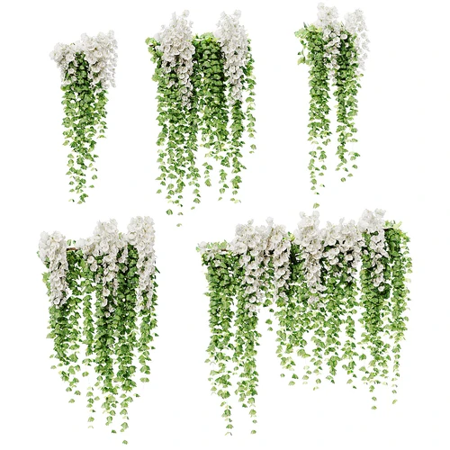 现代兰花藤蔓植物绿植