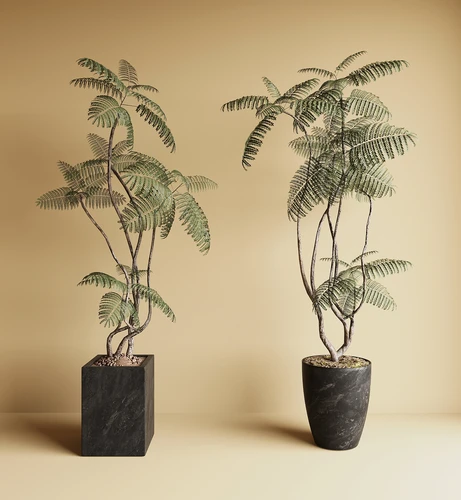 中古风绿植盆栽