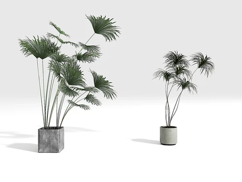 法式植物组合