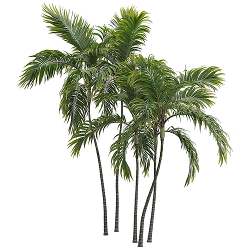 现代植物