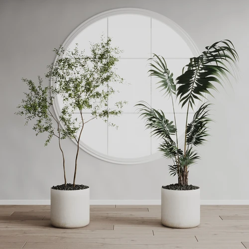 现代植物摆件