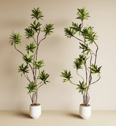 现代绿植盆栽