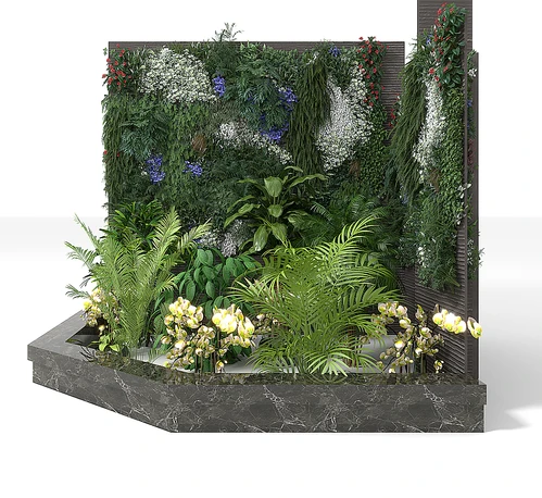植物小品
