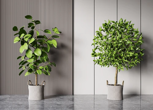 现代绿植盆栽盆景组合