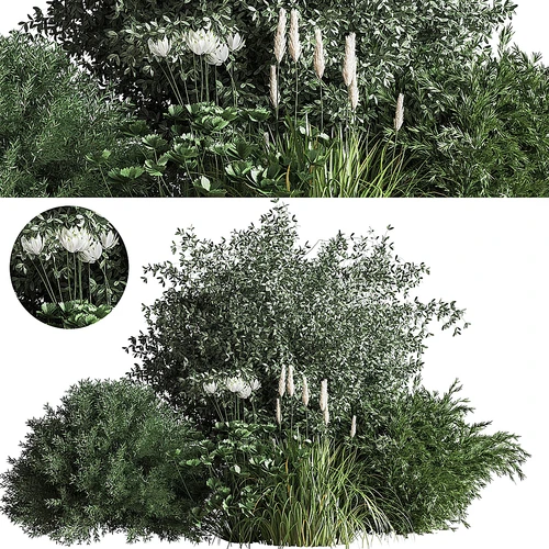 现代户外花草植物