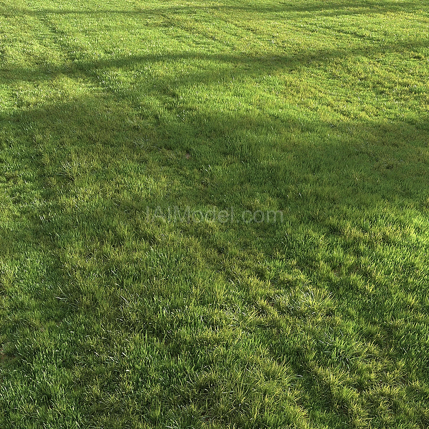 img2