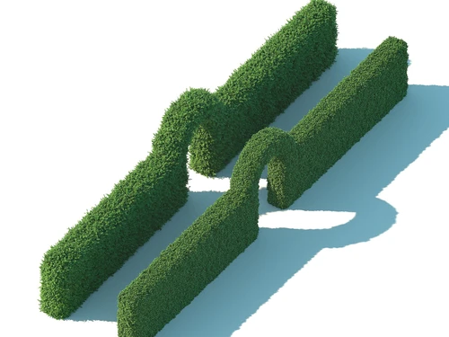 绿植墙