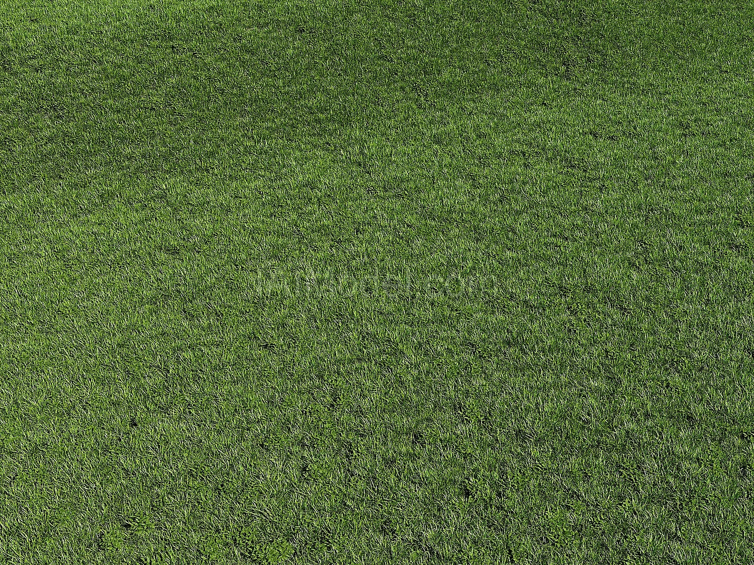 img1