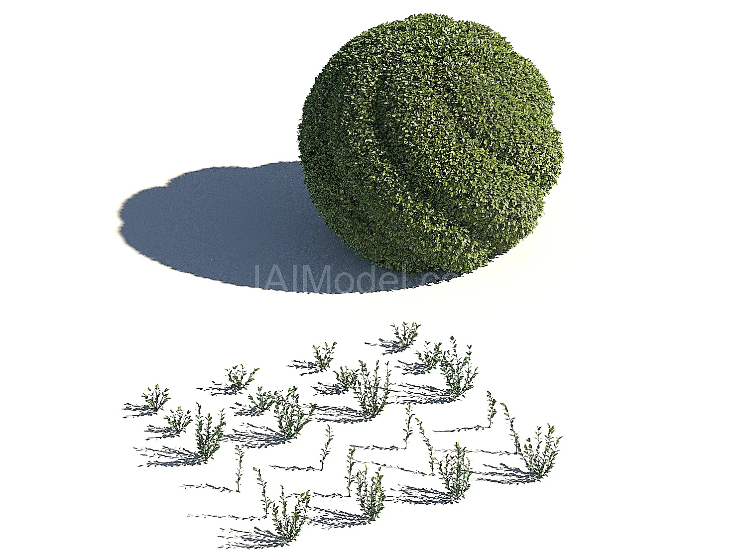 img1