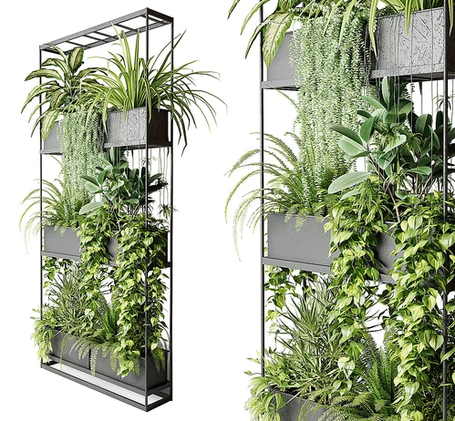 现代植物架