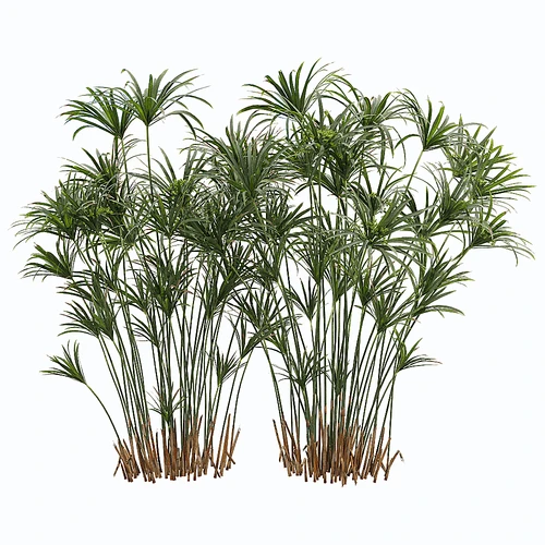 现代花草绿植