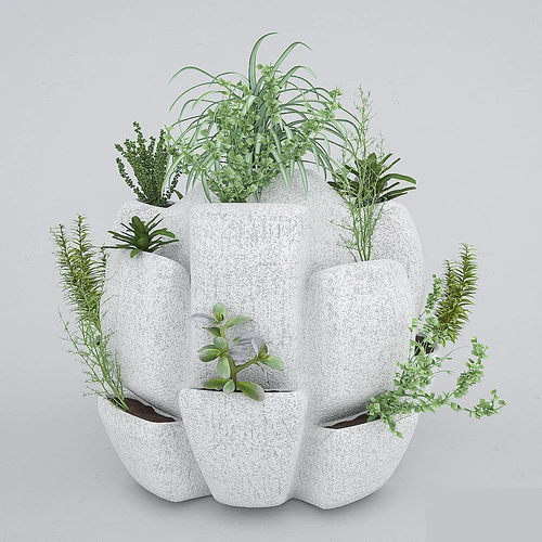 现代植物盆栽