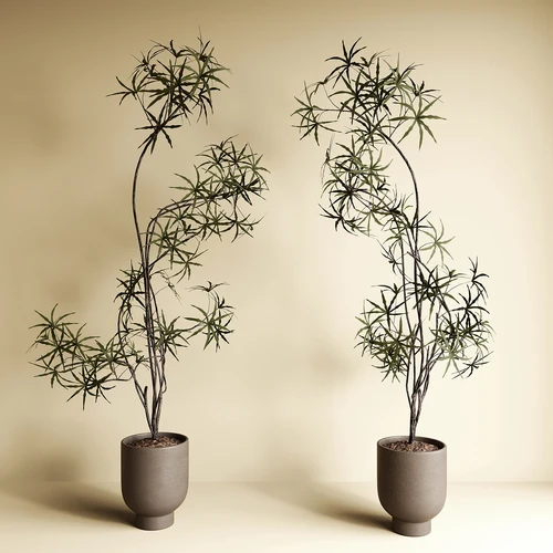中古风绿植盆栽