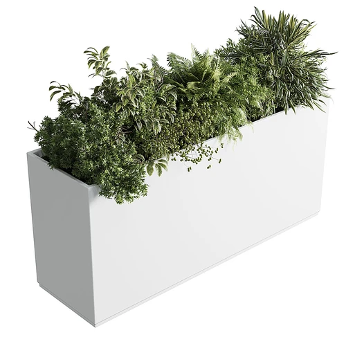 室外绿植盆栽