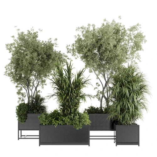 现代植物盆栽组合