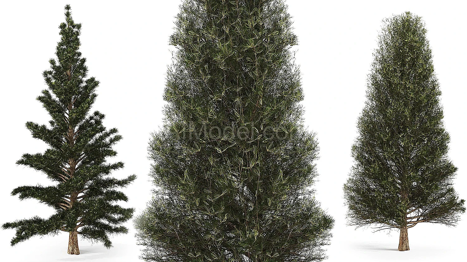 img1