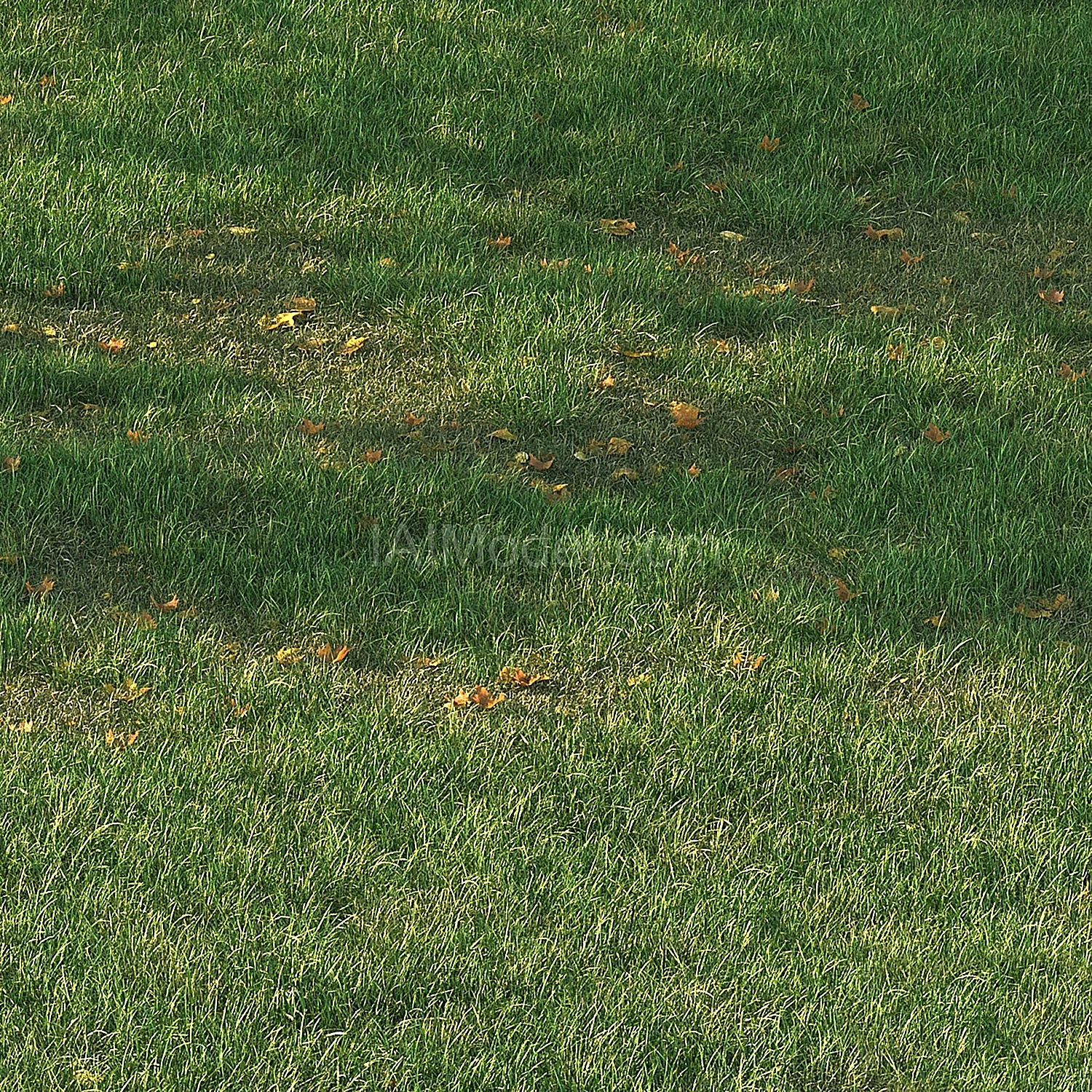 img2