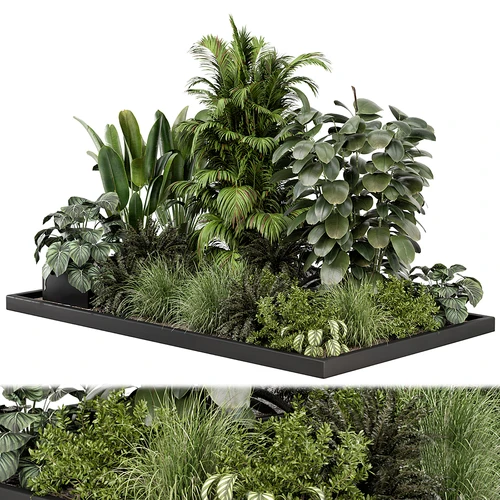 现代植物堆