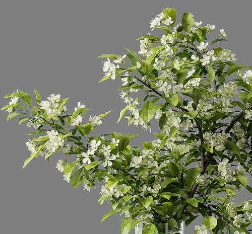 现代花瓶
