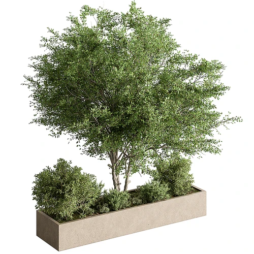 现代绿植池