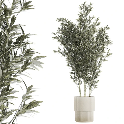 现代植物盆栽