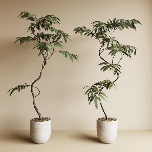 中古风绿植盆栽