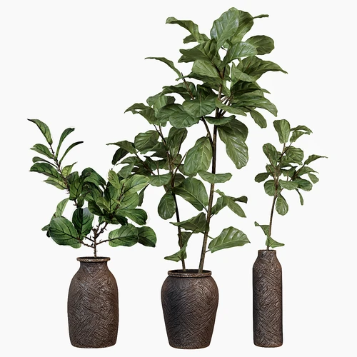 现代绿植盆栽