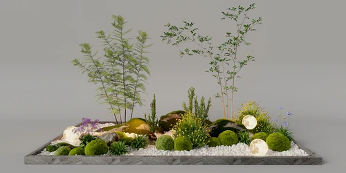 现代植物堆