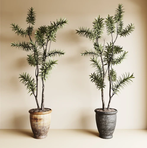 中古风绿植盆栽