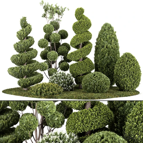 现代植物堆