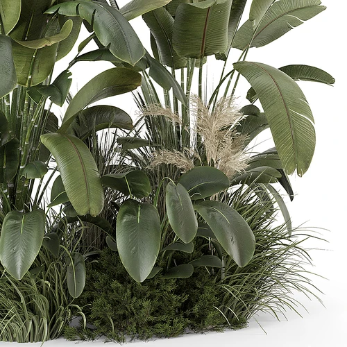 现代植物堆