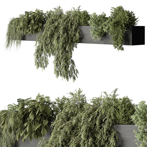 现代悬挂植物盆栽