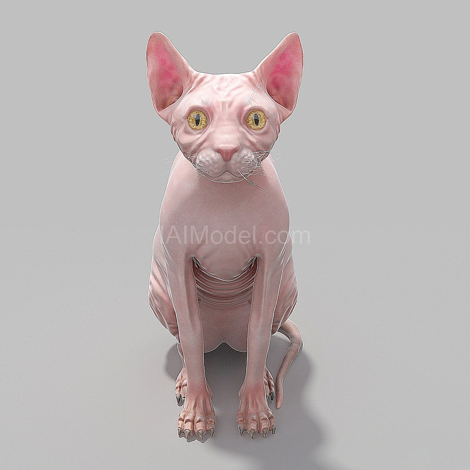 img2