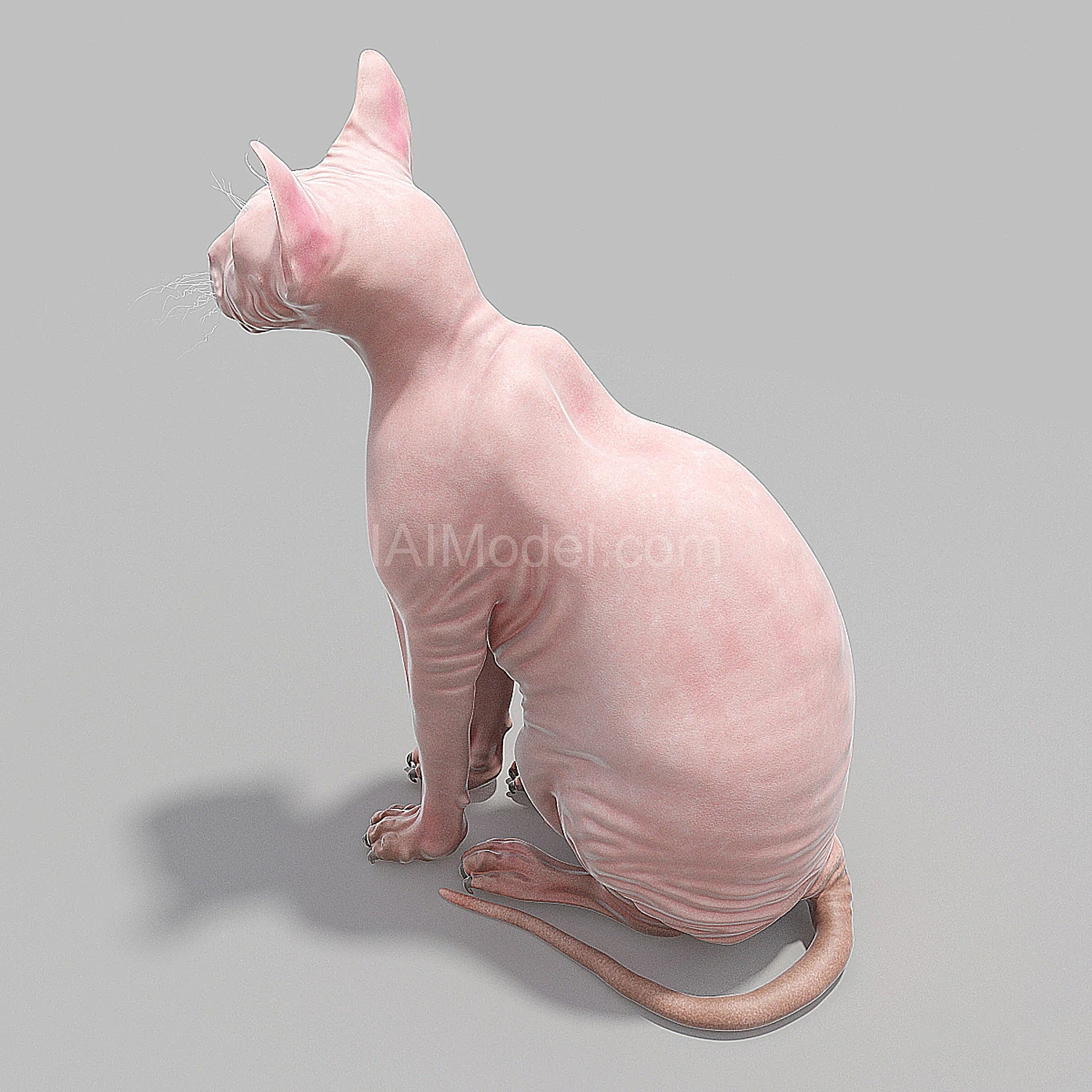 img3