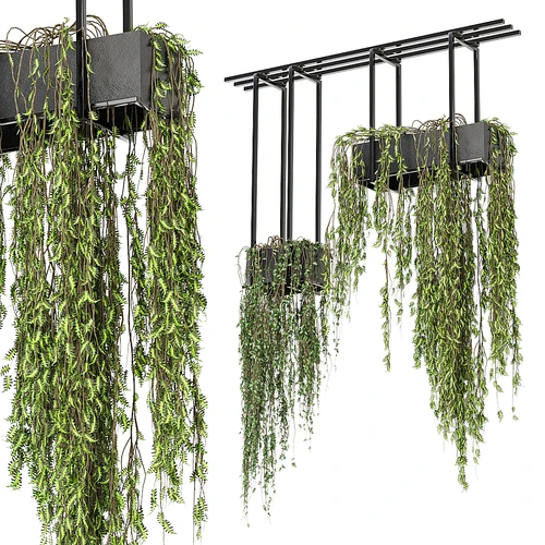 悬挂植物装饰套装