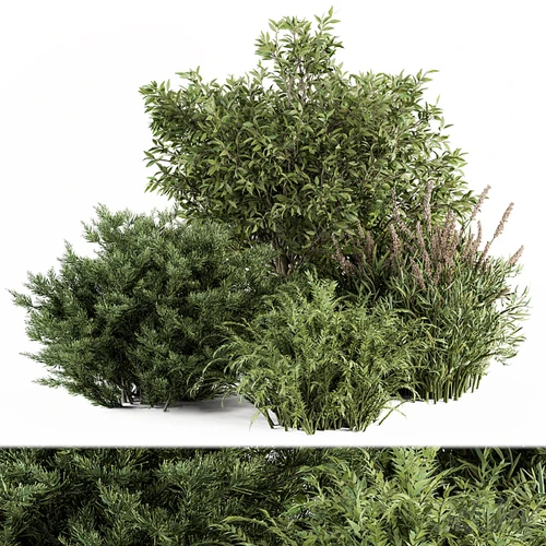 户外植物堆