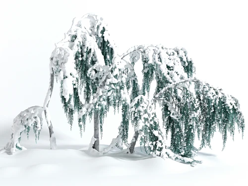 现代风格景观树