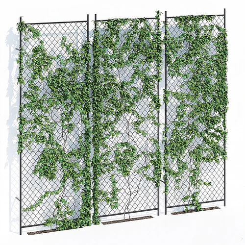 藤蔓绿植墙