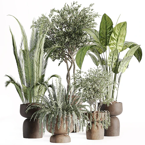 现代绿植盆栽组合