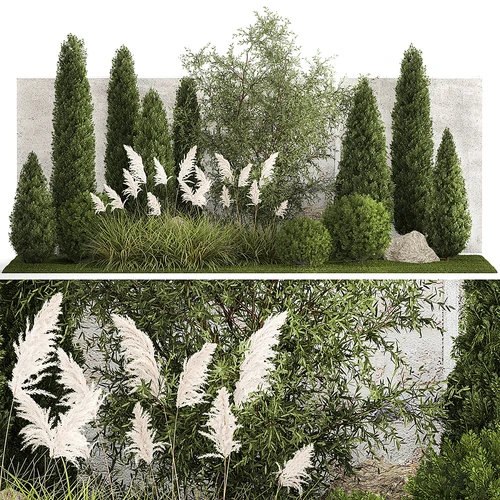 现代植物堆