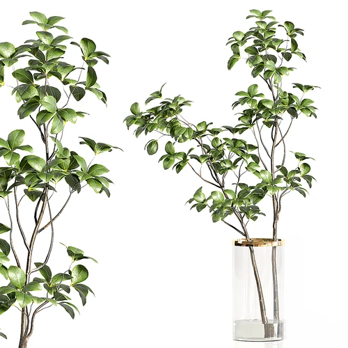 现代绿植花瓶