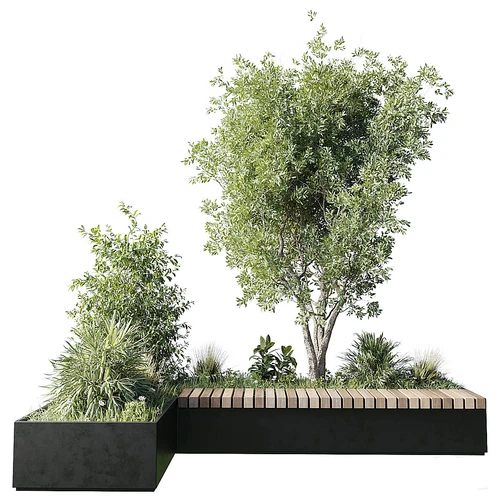 现代绿植景观
