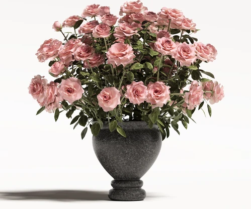 现代玫瑰花花瓶