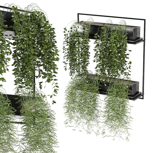 现代悬挂植物盆栽