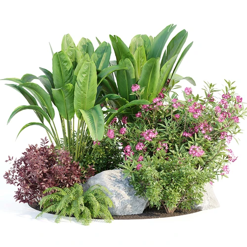 现代庭院花草景观
