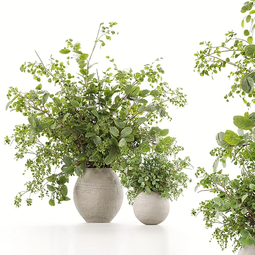 植物花束 07