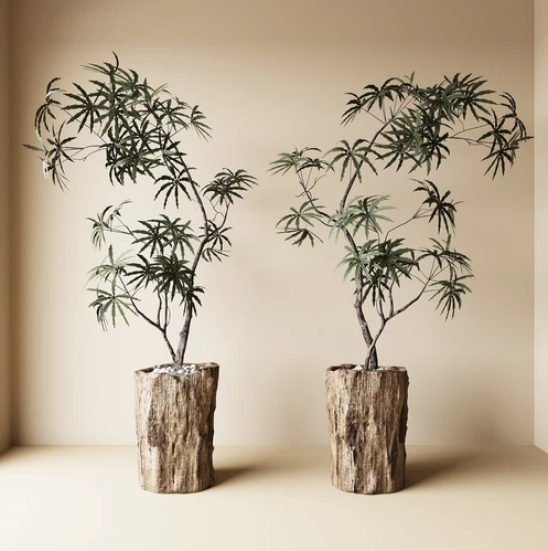 中古风绿植盆栽