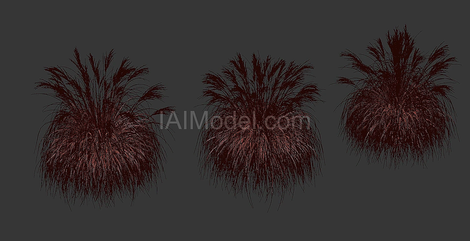 img6